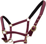 Leather Halters & PP Halters