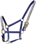 Leather Halters & PP Halters