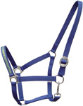 Leather Halters & PP Halters